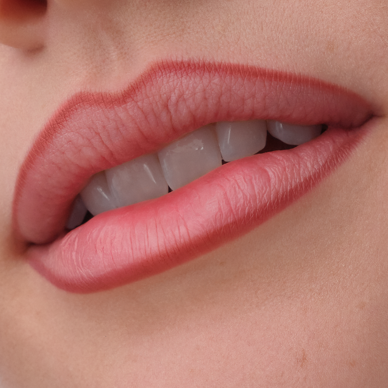 Catrice Precision Ink Lip Liner Stain 040 Always Mine