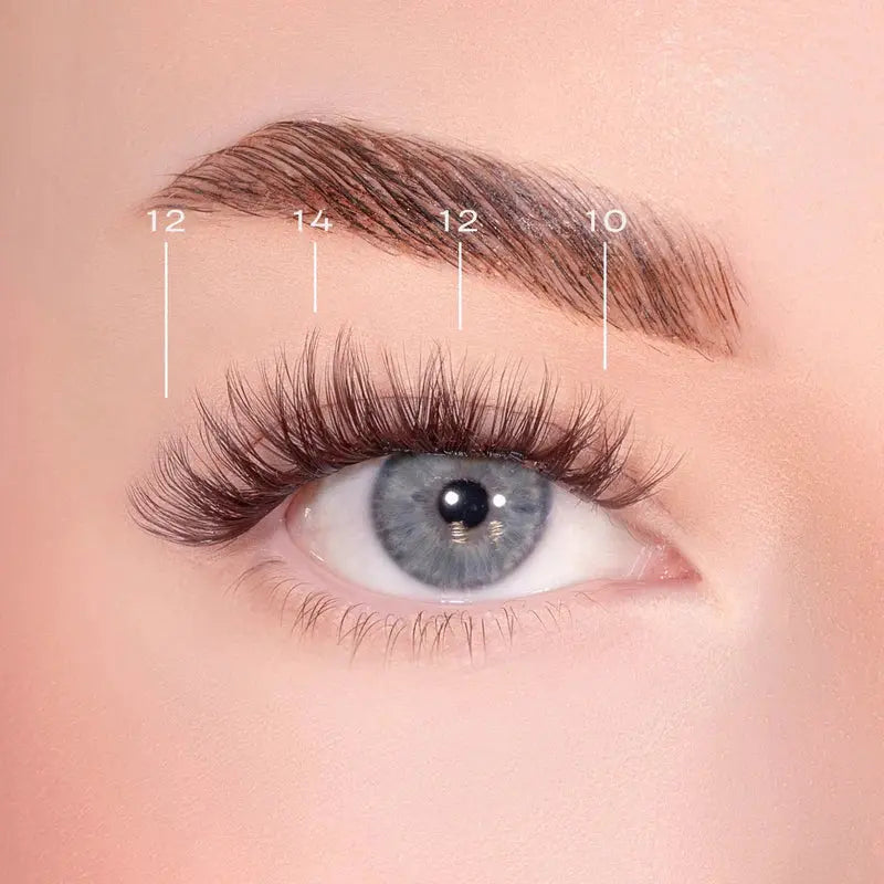 Lola's Lashes Bold Definition Dark Brown Pre-Glued Lashes