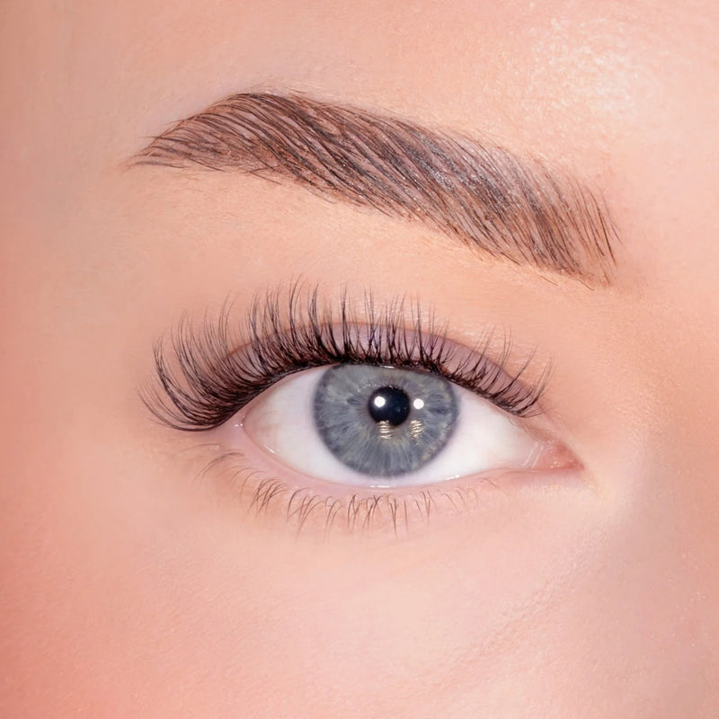 Lola's Lashes Subtle Volume Pre Glued Lashes