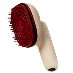 Hair Steamer Pro