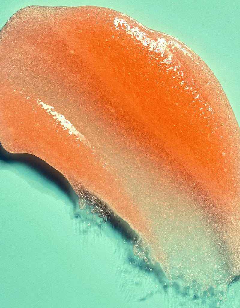 Tree Hut Bikini Reef Shea Sugar Scrub