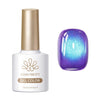 Colored Cat Magnetic Gel Fruit Basket MY297 Blueberry
