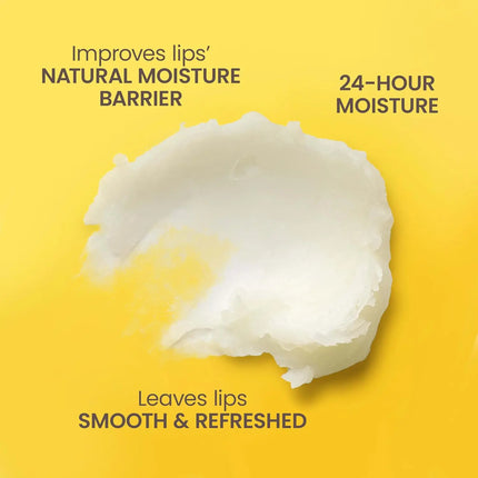 Burt's Bees Lip Balm Vanilla Bean