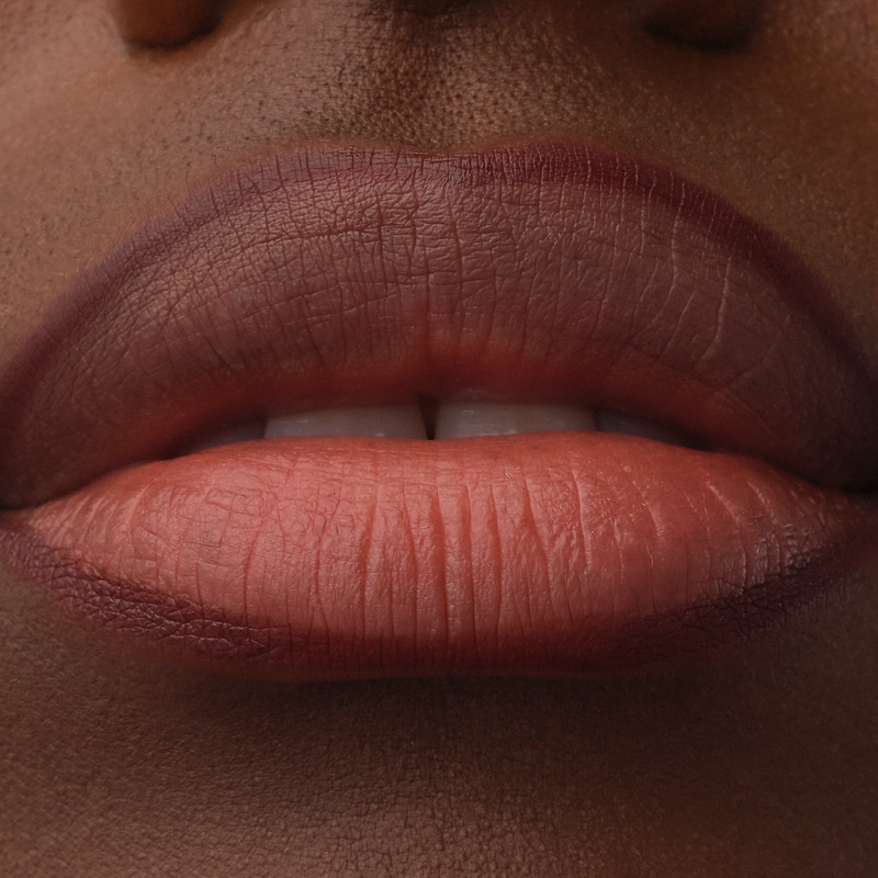 Catrice Precision Ink Lip Liner Stain 040 Always Mine