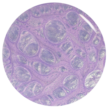 Orly 2000s Collection Rollin with My Homies Nail Polish