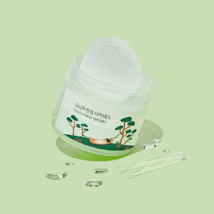 Round Lab Renewal Pine Calming Cica Pad