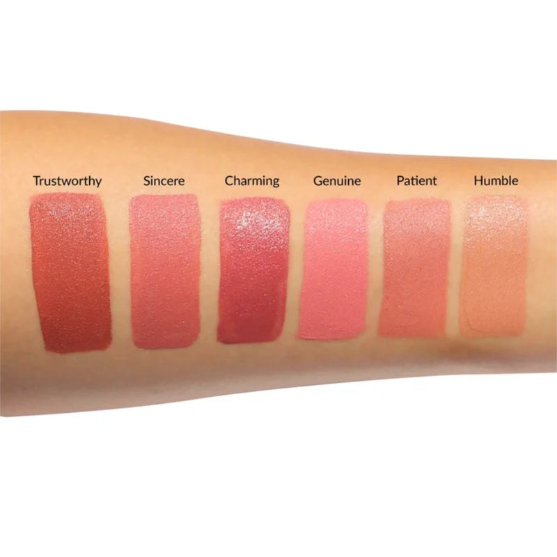 TheBalm Liquid Lipstick Meet Matte Hughes Sincere