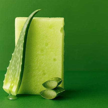 T.TAiO Esponjabon Aloe Vera 2-in-1 Soap And Sponge